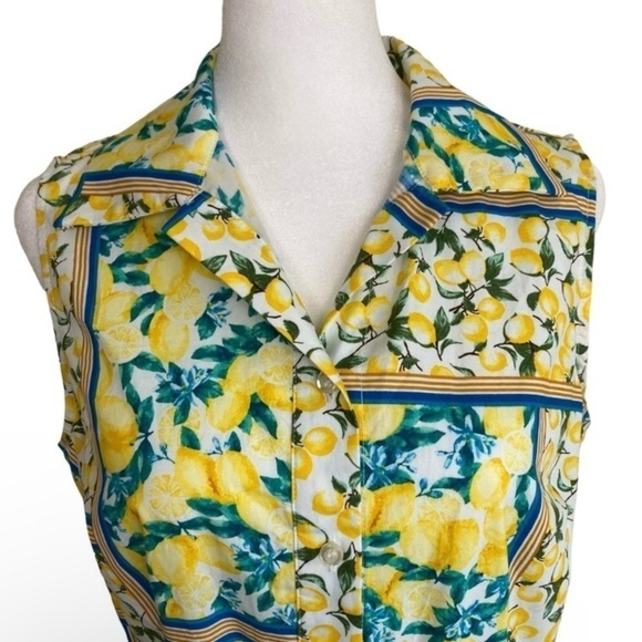 Chloe+Rene Lemon Print Retro 70s Style Fit and Flare Poplin Midi Sundress Sz S - Picture 5 of 16